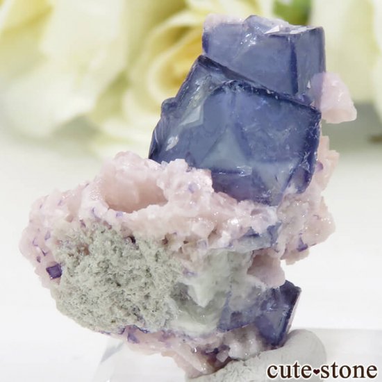 䥪󥷥 ֥롼ե饤 12.5gμ̿2 cute stone
