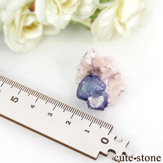 䥪󥷥 ֥롼ե饤 12.5gμ̿3 cute stone