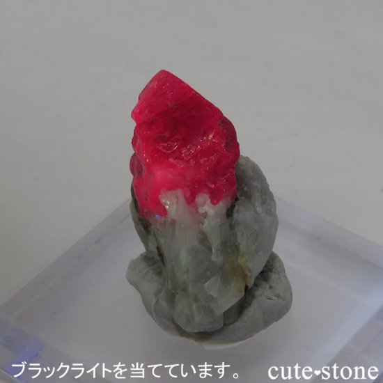ե˥ Jegdalek ruby deposit ӡθ 3gμ̿4 cute stone