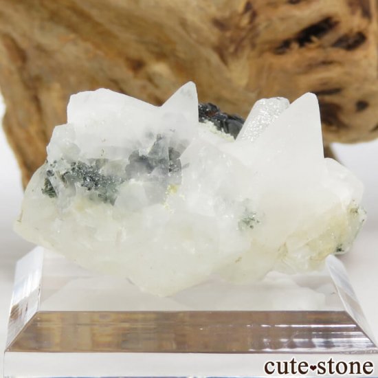 ѥ ɥ (إޥ)륵ȤθФμ̿0 cute stone