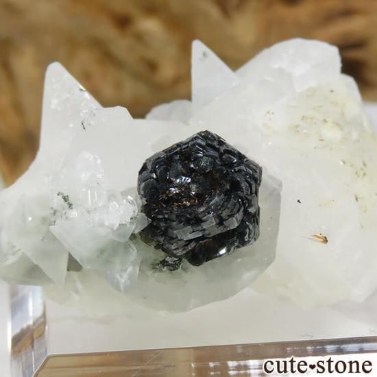 パキスタン スカルドゥ産 アイアンローズ(ヘマタイト)&カルサイトの原石の写真1 cute stone