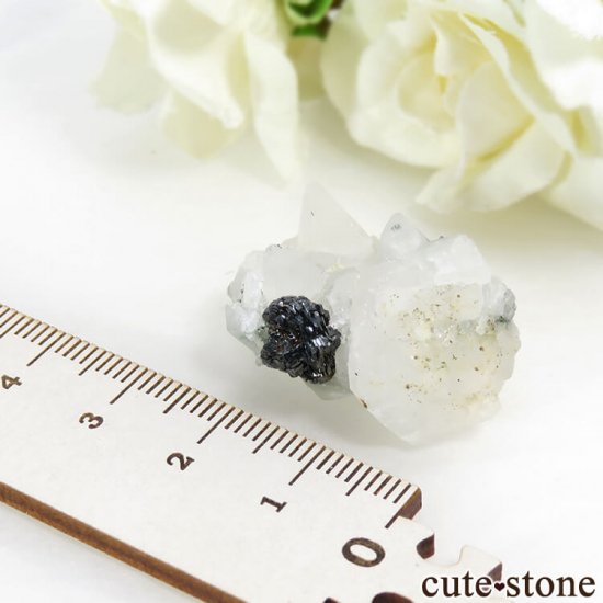 ѥ ɥ (إޥ)륵ȤθФμ̿2 cute stone