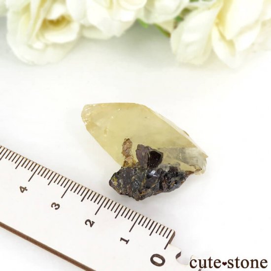०åɹۻ ƥӡ५륵ȡե饤 16gμ̿3 cute stone