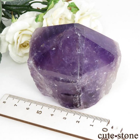 òʡۥܥӥ ʥۻ ȥΥݥåݥ 263gμ̿4 cute stone