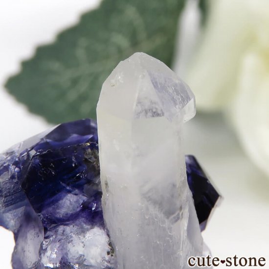 䥪󥷥 ѡץ֥롼ե饤ȡĤθ 10.4gμ̿3 cute stone