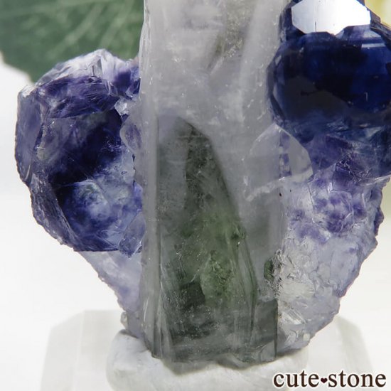 䥪󥷥 ѡץ֥롼ե饤ȡĤθ 10.4gμ̿4 cute stone