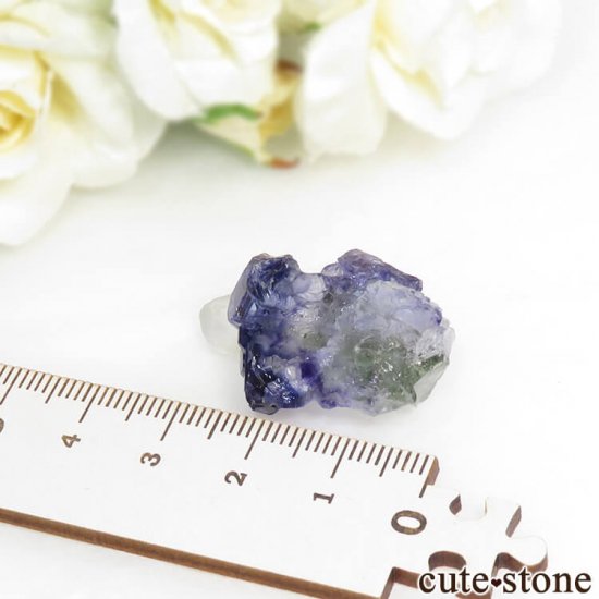 䥪󥷥 ѡץ֥롼ե饤ȡĤθ 10.4gμ̿5 cute stone