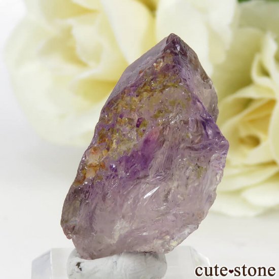 ӥ ȥ饤˥åꥢ᥸Ȥη뾽 6.4gμ̿1 cute stone
