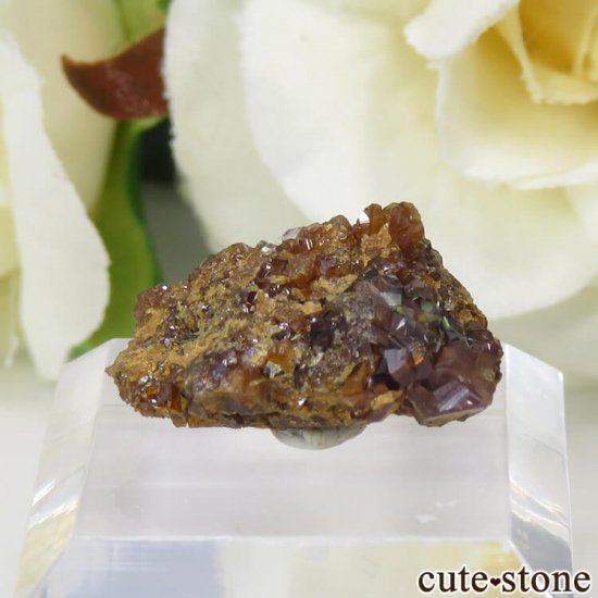 ŷ¼쥤ܡͥåȤդ뾽ʸС 2g μ̿0 cute stone