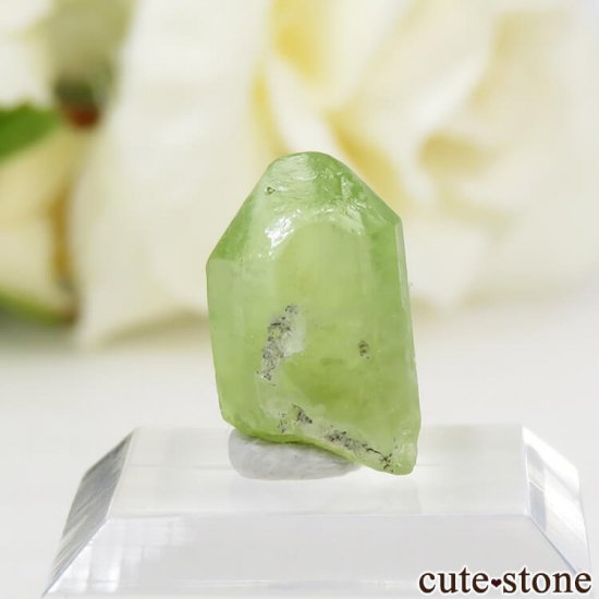 パキスタン産 ペリドットの結晶（原石）6.2ct - cute stone -