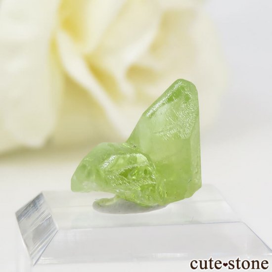 ѥ ڥɥåȤη뾽ʸС6.5ctμ̿0 cute stone
