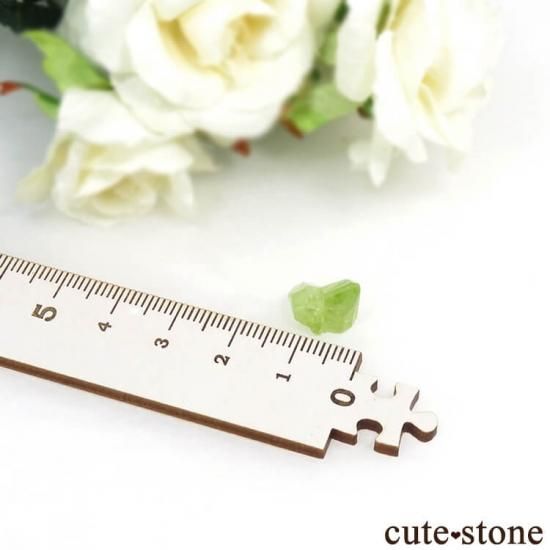 ѥ ڥɥåȤη뾽ʸС6.5ctμ̿1 cute stone