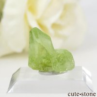ペリドット」の商品一覧（ブレスレット、etc）【cute stone】