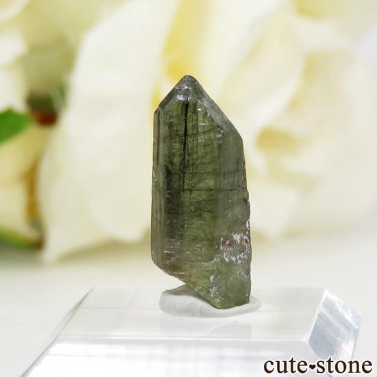 ѥ ɥХڥɥåȤη뾽ʸС5.4ctμ̿0 cute stone