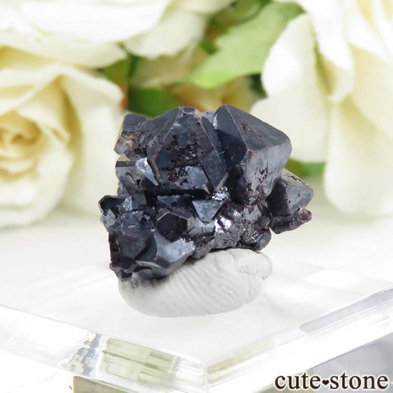  塼ץ饤Ȥθ 7.6gμ̿0 cute stone