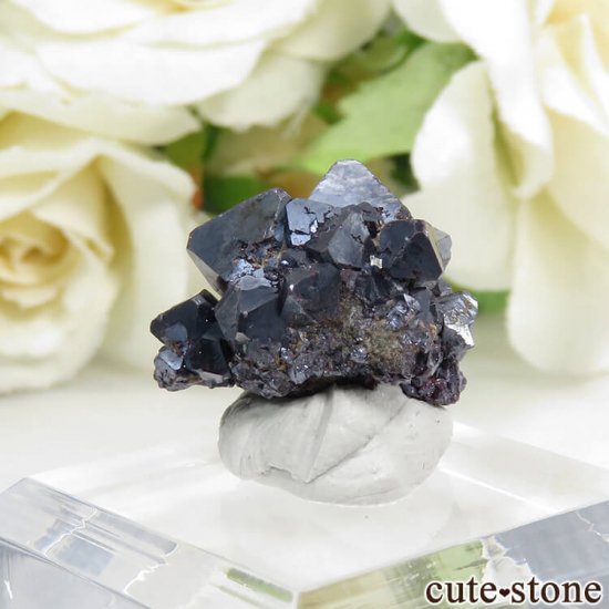  塼ץ饤Ȥθ 7.6gμ̿2 cute stone