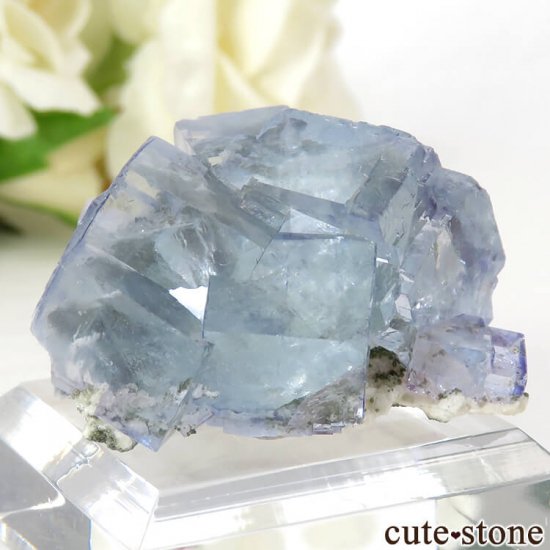 䥪󥷥 ֥롼ե饤Ȥη뾽ʸС21.8gμ̿0 cute stone