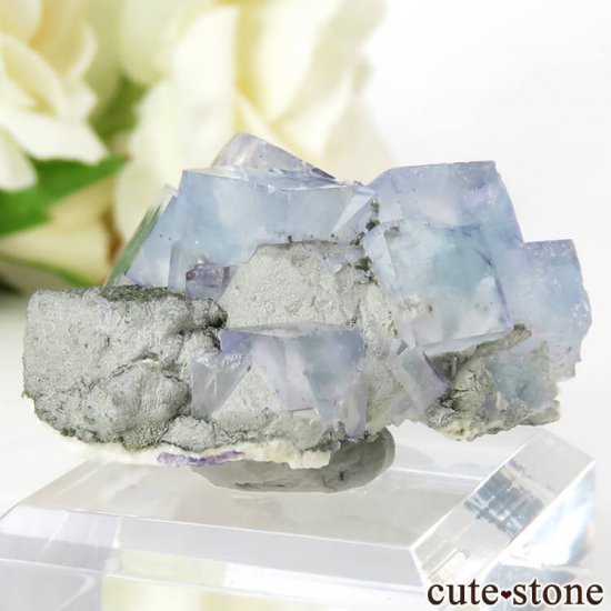 䥪󥷥 ֥롼ե饤Ȥη뾽ʸС21.8gμ̿1 cute stone