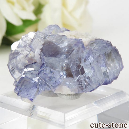 䥪󥷥 ֥롼ե饤Ȥη뾽ʸС18.3gμ̿0 cute stone