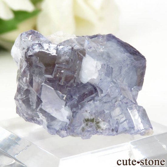 䥪󥷥 ֥롼ե饤Ȥη뾽ʸС18.3gμ̿1 cute stone