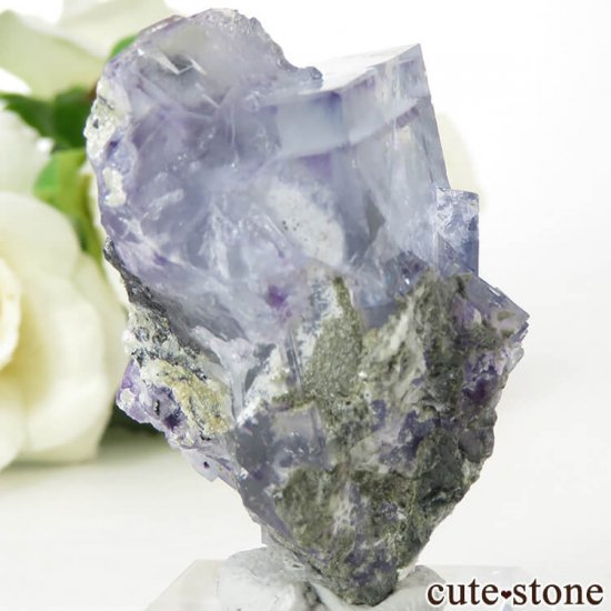 䥪󥷥 ֥롼ե饤Ȥη뾽ʸС42.1gμ̿0 cute stone