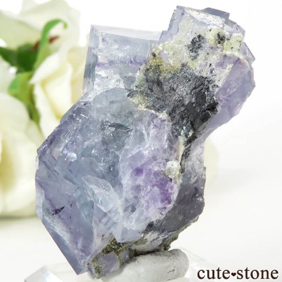 䥪󥷥 ֥롼ե饤Ȥη뾽ʸС42.1gμ̿1 cute stone