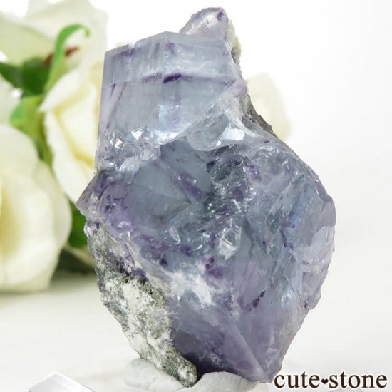 䥪󥷥 ֥롼ե饤Ȥη뾽ʸС42.1gμ̿2 cute stone
