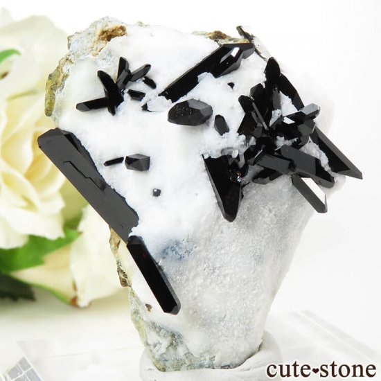 ե˥ ͥץʥȤդ뾽ʸС 24.6gμ̿0 cute stone