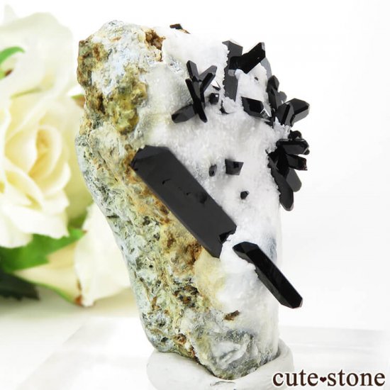 ե˥ ͥץʥȤդ뾽ʸС 24.6gμ̿1 cute stone