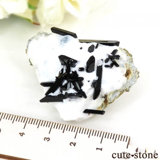 ե˥ ͥץʥȤդ뾽ʸС 24.6gμ̿6 cute stone