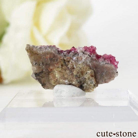 å 饤Ȥθ (ʪɸ) 1.4gμ̿0 cute stone