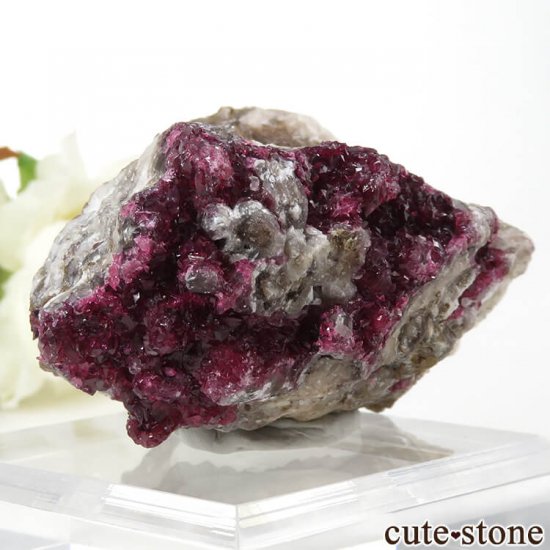 å 饤Ȥθ (ʪɸ) 113gμ̿0 cute stone