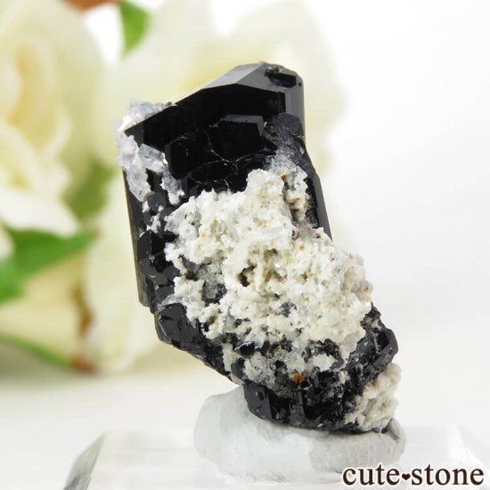 ʥߥӥ 󥴻 ֥åȥޥʥ硼ˤη뾽ʸС 8.2gμ̿2 cute stone