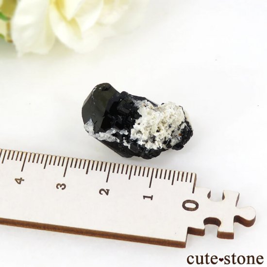 ʥߥӥ 󥴻 ֥åȥޥʥ硼ˤη뾽ʸС 8.2gμ̿3 cute stone