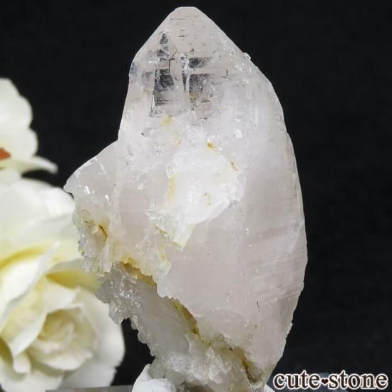 ѥ ɥ ġʿ徽ˤθ 56gμ̿0 cute stone