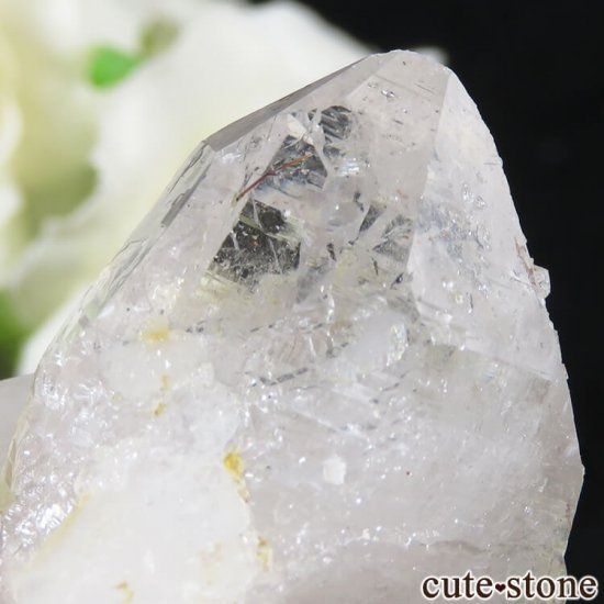 ѥ ɥ ġʿ徽ˤθ 56gμ̿3 cute stone