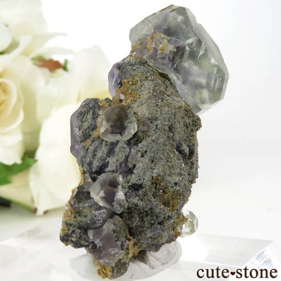  ʡʻ ֥롼꡼ե饤Ȥդ뾽ʸС24gμ̿0 cute stone
