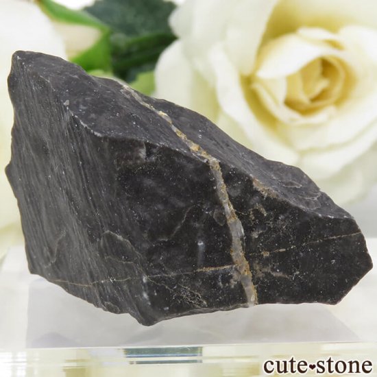 シャーマナイト（ブラックカルサイト）原石 アメリカ産 化石入り 鉱物標本-