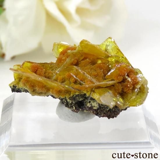 メキシコ San Francisco Mine産 ウルフェナイトの原石 4g - cute