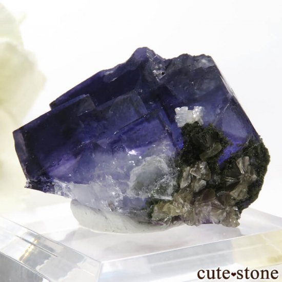 䥪󥷥 ѡץ֥롼ե饤Ȥη뾽ʸС15gμ̿1 cute stone