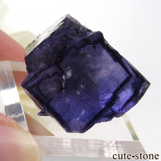 䥪󥷥 ѡץ֥롼ե饤Ȥη뾽ʸС15gμ̿2 cute stone