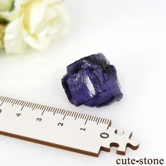 䥪󥷥 ѡץ֥롼ե饤Ȥη뾽ʸС15gμ̿3 cute stone
