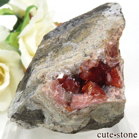 ڥ롼 ɥȡʥ󥫥ˤդ뾽ʸС 123gμ̿2 cute stone