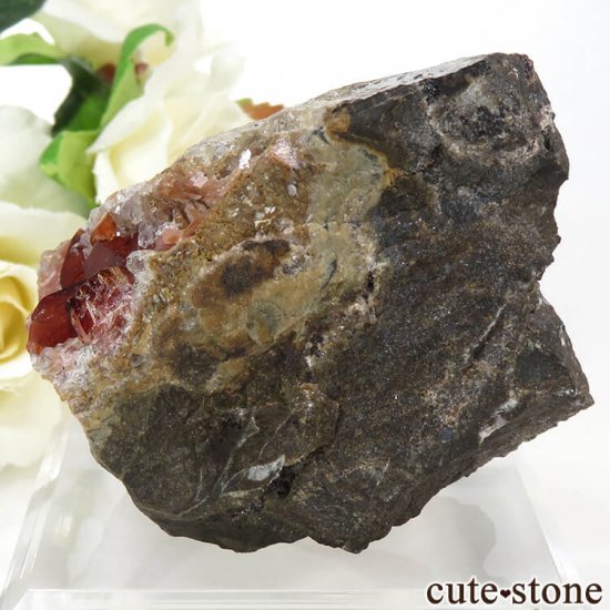ڥ롼 ɥȡʥ󥫥ˤդ뾽ʸС 123gμ̿4 cute stone