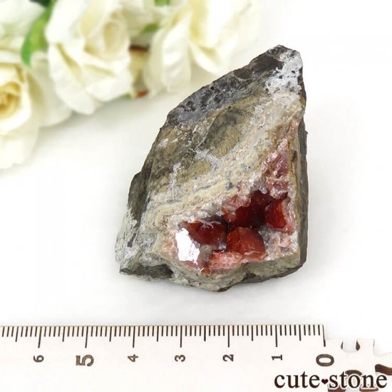 ڥ롼 ɥȡʥ󥫥ˤդ뾽ʸС 123gμ̿5 cute stone