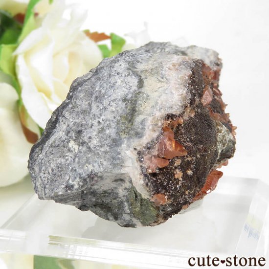 ڥ롼 ɥȡʥ󥫥ˤդ뾽ʸС 93gμ̿0 cute stone