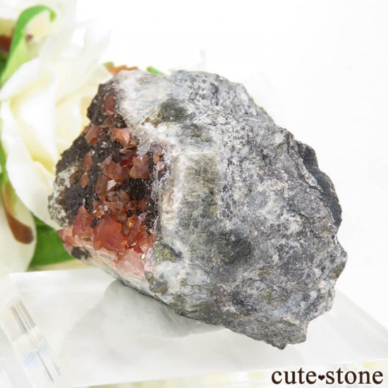 ڥ롼 ɥȡʥ󥫥ˤդ뾽ʸС 93gμ̿2 cute stone