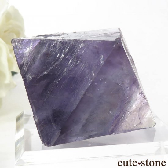 Υ Cave-in-Rock ȬΡʤؤ뾽˥ե饤ȡʷС76g μ̿0 cute stone