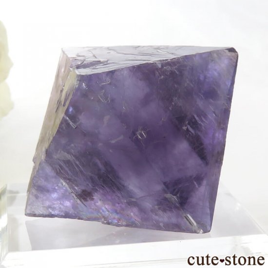 Υ Cave-in-Rock ȬΡʤؤ뾽˥ե饤ȡʷС76g μ̿1 cute stone