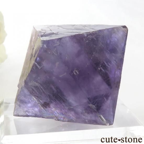 Υ Cave-in-Rock ȬΡʤؤ뾽˥ե饤ȡʷС76g μ̿1 cute stone